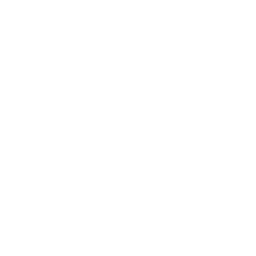 nene — NEural NEtwork